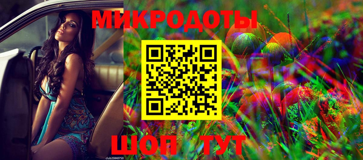 Псилоцибиновые грибы мицелий Тында